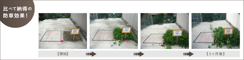 比べて納得の防草効果!